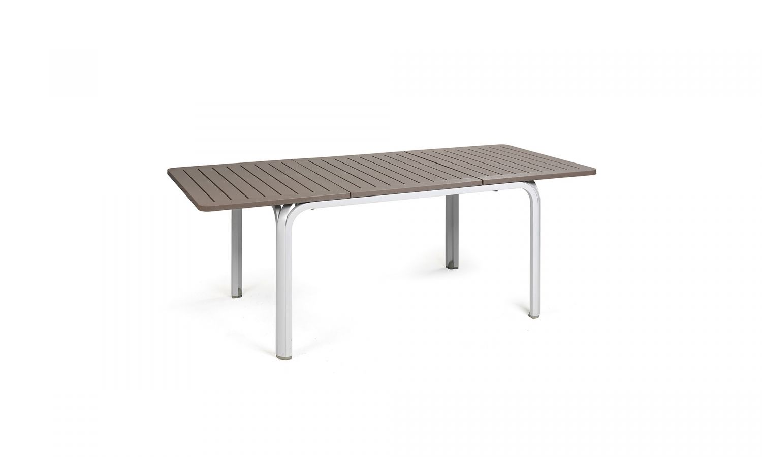 ALLORO 140 TORTORA BLANCO